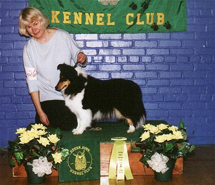jodimatch.JPG (38408 bytes)