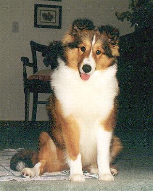 ph5babywindy.JPG (29758 bytes)