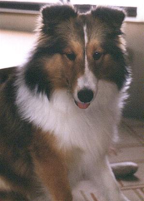 ph5sweetface.JPG (20549 bytes)