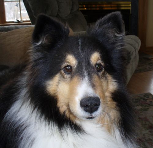 jodimatch.JPG (38408 bytes)